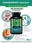 Исландский мох, капсулы, 60 шт. Алтайские традиции — фото 4