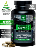 Концентрат Мумие, капсулы, 60 шт. Алтайские традиции — фото 2