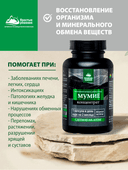 Концентрат Мумие, капсулы, 60 шт. Алтайские традиции — фото 3