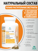 Концентрат Для суставов, капсулы, 60 шт. Алтайские традиции — фото 3