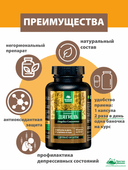 Дягиль Концентрат Дамиана + Аргинин, капсулы, 60 шт. Алтайские традиции — фото 5
