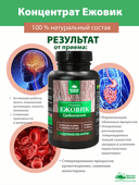 Концентрат Ежовик гребенчатый, капсулы, 60 шт. Алтайские традиции — фото 5