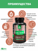 Концентрат Ежовик гребенчатый, капсулы, 60 шт. Алтайские традиции — фото 6