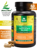 Лапчатка белая, капсулы, 60 шт. Алтайские традиции — фото 2