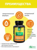 Лапчатка белая, капсулы, 60 шт. Алтайские традиции — фото 5