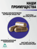 Концентрат Мозговая Активность, капсулы, 60 шт. Алтайские традиции — фото 5