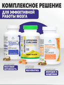 Концентрат Мозговая Активность, капсулы, 60 шт. Алтайские традиции — фото 7