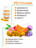 Концентрат 5 масел - ЗДОРОВЫЙ ОРГАНИЗМ, капсулы, 360 шт. Вектор здоровья — фото 4