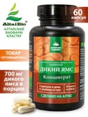Концентрат ДИКИЙ ЯМС», капсулы, 60 шт. Алтайские традиции — фото 2
