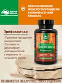 Концентрат ДИКИЙ ЯМС», капсулы, 60 шт. Алтайские традиции — фото 3