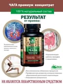 Концентрат Чага, капсулы, 60 шт. Алтайские традиции — фото 4