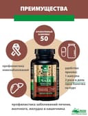 Концентрат Чага, капсулы, 60 шт. Алтайские традиции — фото 5