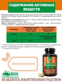 Концентрат ДИКИЙ ЯМС», капсулы, 60 шт. Алтайские традиции — фото 7