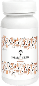 Кордицепс военный, капсулы, 90 шт. INNER HEALTH — фото 1