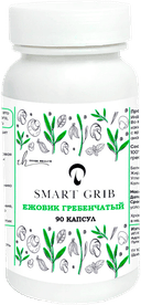 Ежовик гребенчатый, капсулы, 90 шт. INNER HEALTH — фото 1