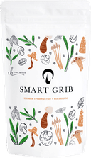 Ежовик гребенчатый + кордицепс военный, порошок, 100 г. INNER HEALTH — фото 1