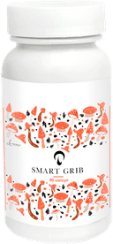 Лисички, капсулы, 90 шт. INNER HEALTH — фото 1