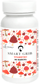 Траметес разноцветный, капсулы, 90 шт. INNER HEALTH — фото 1