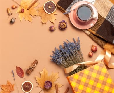 Помощь бадов в межсезонье